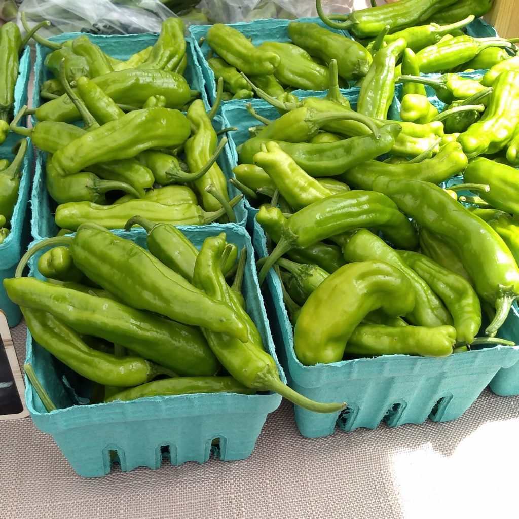 Multiple pints of shishito peppers at farmers Market - East Asheville Tailgate Market